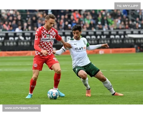 美因茨保级路陷入困境，换帅难解系统性难题